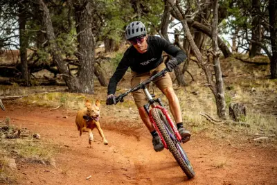 Founder of Colorado mountain bike maker Revel Bikes says company is profitable again