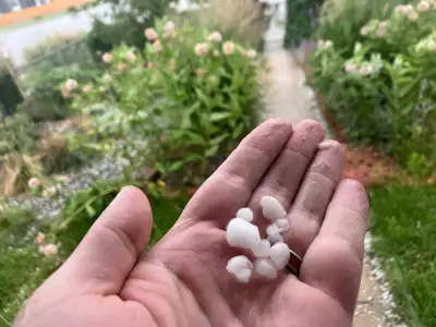 PHOTOS: Coloradans capture torrential rain, waves of hail on social media