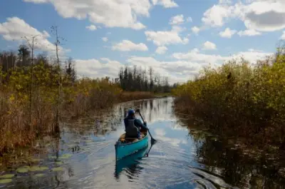After years of trying, environmentalists neutralize a mining threat near Okefenokee