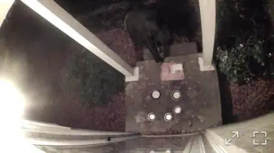 DeKalb County police warn of package thefts as Tucker woman’s porch reportedly pirated