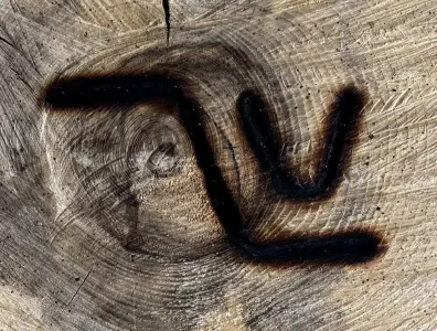 Cattle presumed stolen from farms northeast of Greeley, police seek help finding them