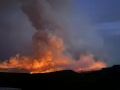 Man takes deal, pleads guilty to starting Bucktail fire in Montrose County