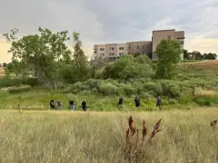 Possible human remains found in Westminster open space